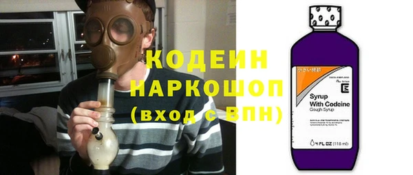 соль ск Дмитров