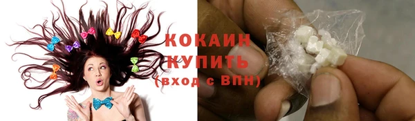 молекула духа Дмитриев
