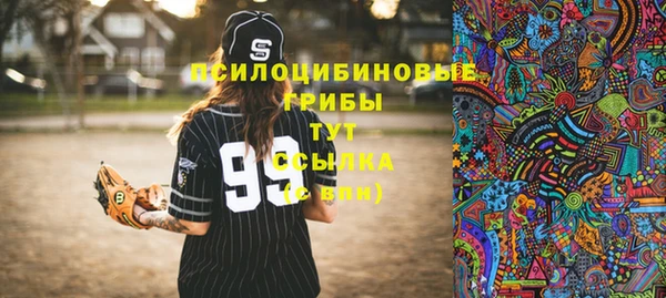 соль ск Дмитровск