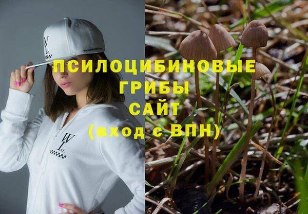 молекула духа Дмитриев