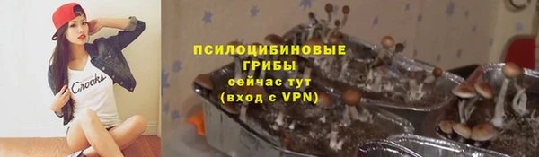 соль ск Дмитров