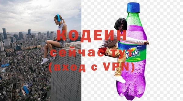 соль ск Дмитровск
