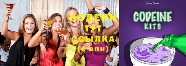 молекула духа Дмитриев